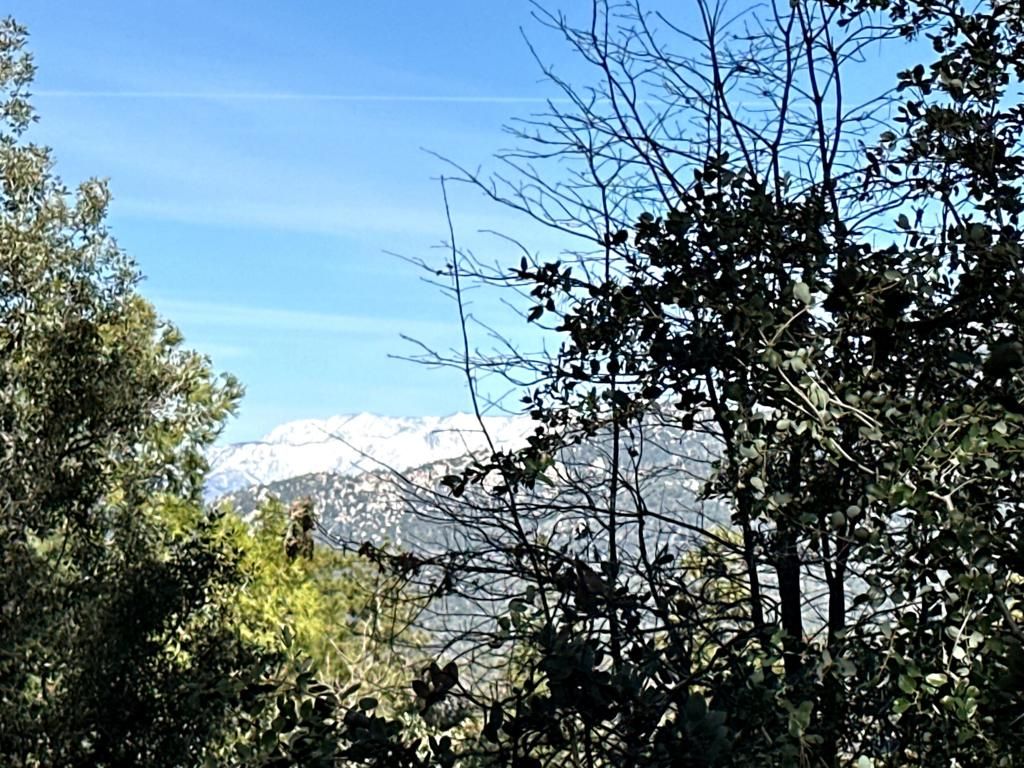 Image 18 of property listing at 0 Green Craig, Idyllwild, CA 92549