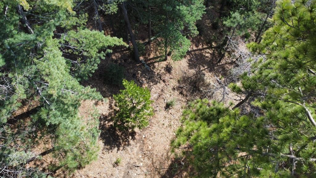 Image 21 of property listing at 0 Green Craig, Idyllwild, CA 92549