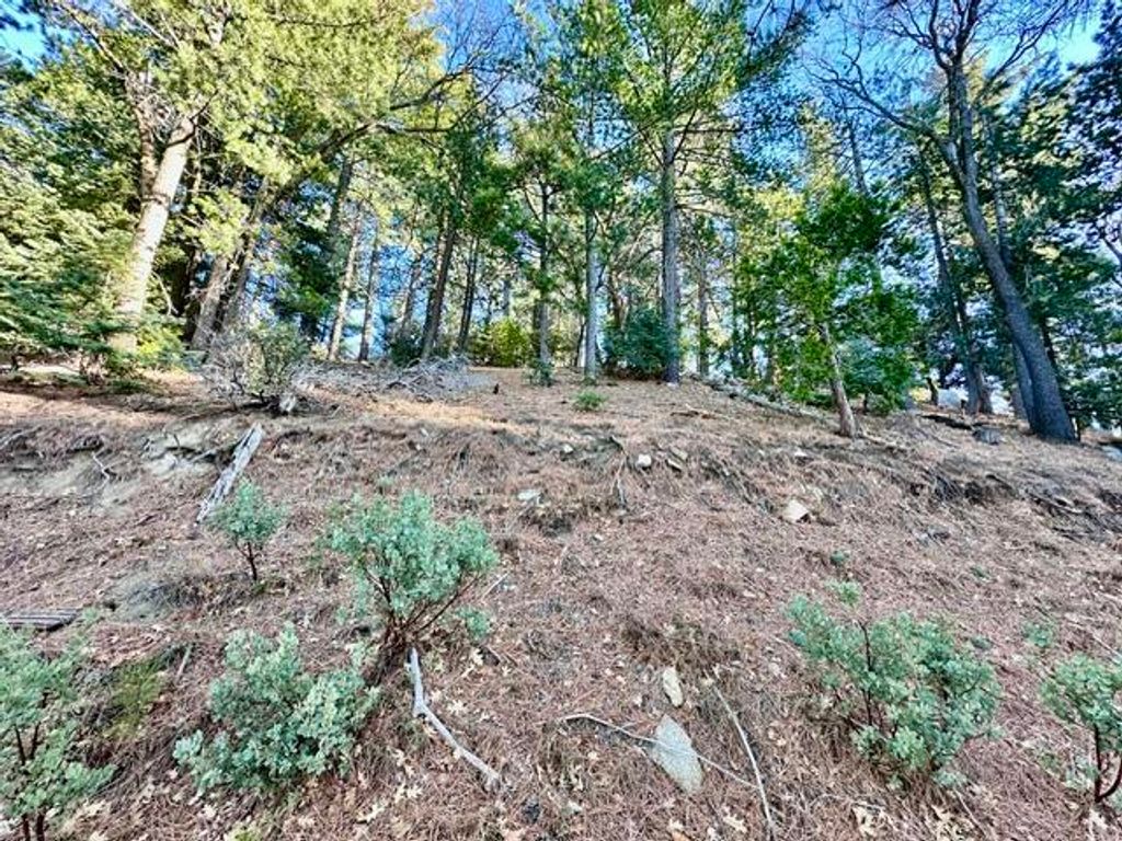 Image 3 of property listing at 0 Green Craig, Idyllwild, CA 92549