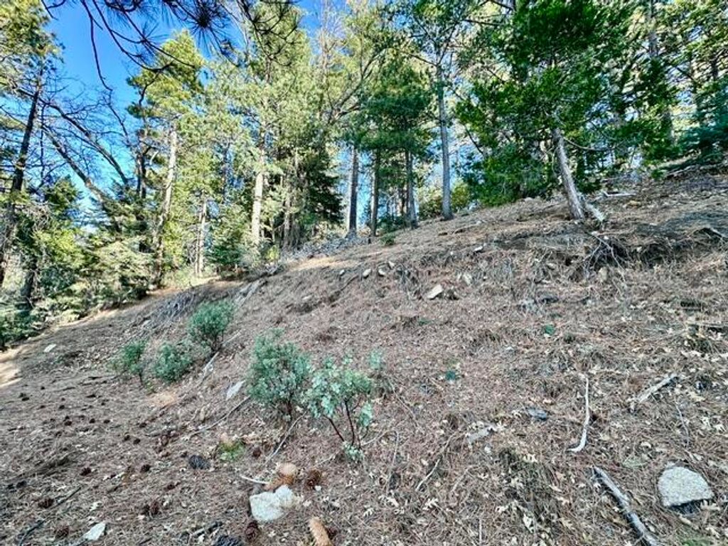 Image 4 of property listing at 0 Green Craig, Idyllwild, CA 92549