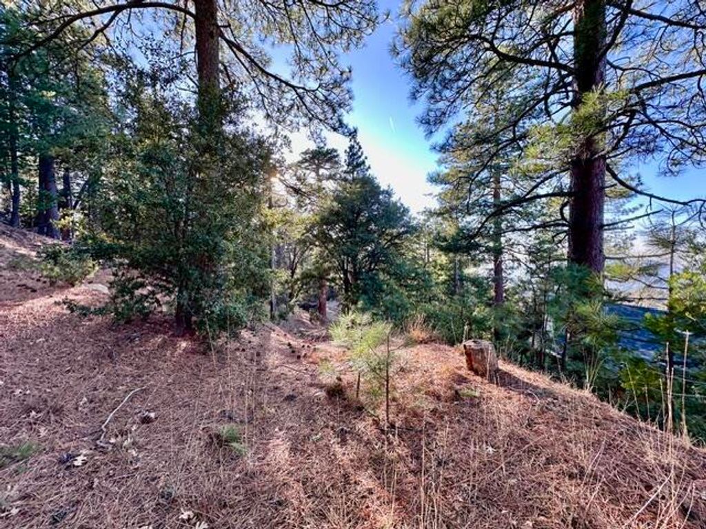 Image 5 of property listing at 0 Green Craig, Idyllwild, CA 92549