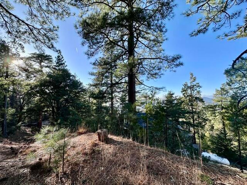 Image 6 of property listing at 0 Green Craig, Idyllwild, CA 92549