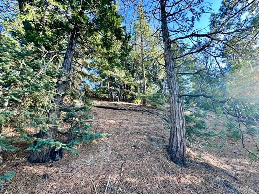 Image 7 of property listing at 0 Green Craig, Idyllwild, CA 92549