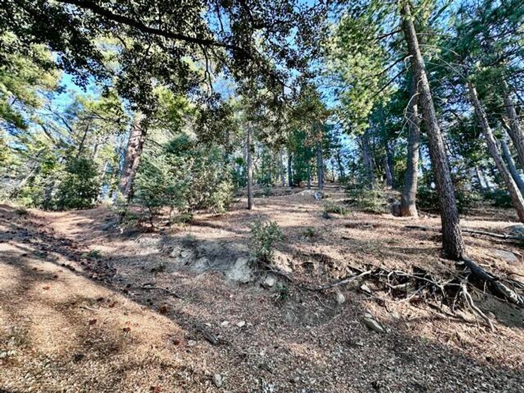 Image 8 of property listing at 0 Green Craig, Idyllwild, CA 92549