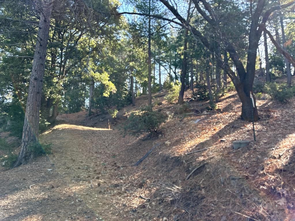 Image 9 of property listing at 0 Green Craig, Idyllwild, CA 92549