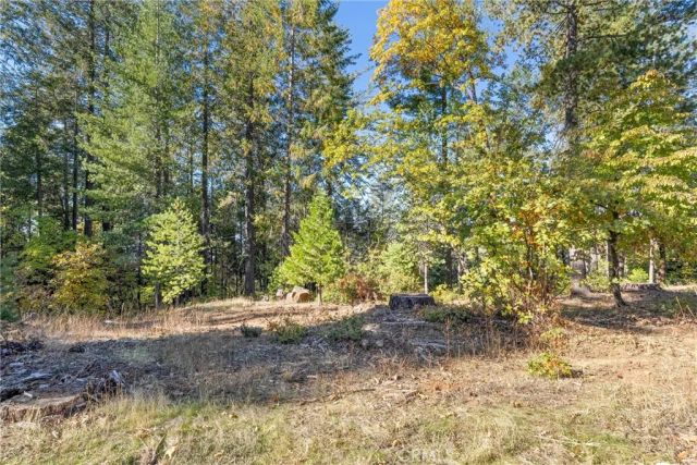 16298 Forest Ranch Road, Forest Ranch, CA 95942