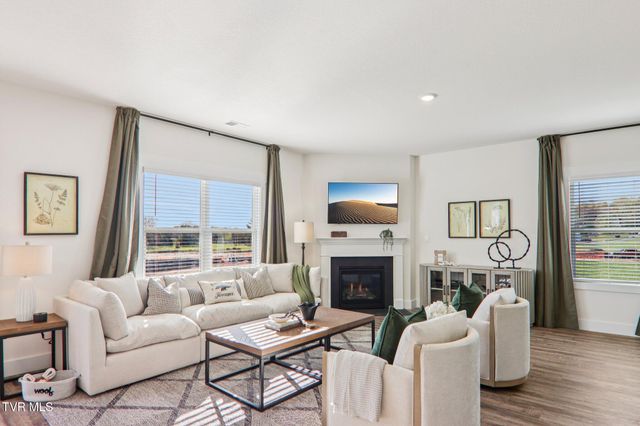 280 Chimney View Loop, Blountville, TN 37617