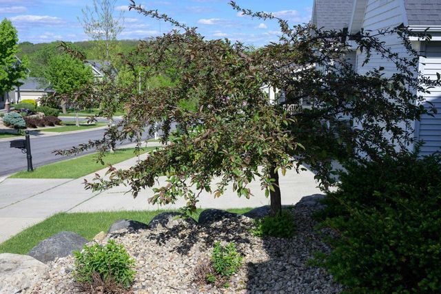 8919 Ancient Oak Lane, Verona, WI 53593