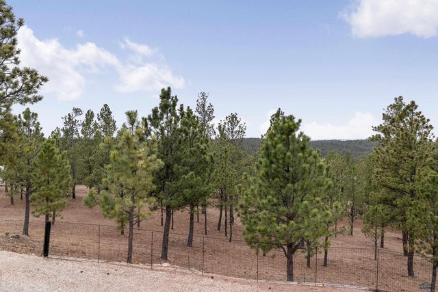 26701 GUNSMOKE LN, Custer, SD 57730