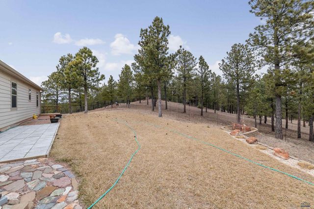 26701 GUNSMOKE LN, Custer, SD 57730
