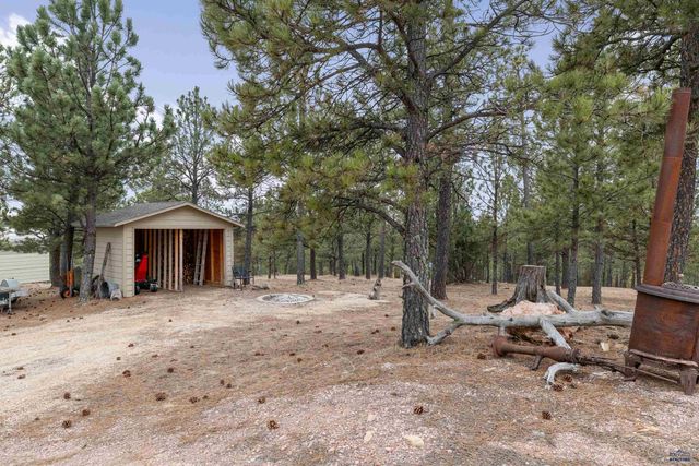 26701 GUNSMOKE LN, Custer, SD 57730