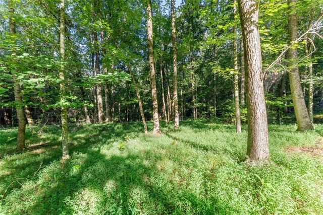 937 Sam Craven Road, Cleveland, GA 30528