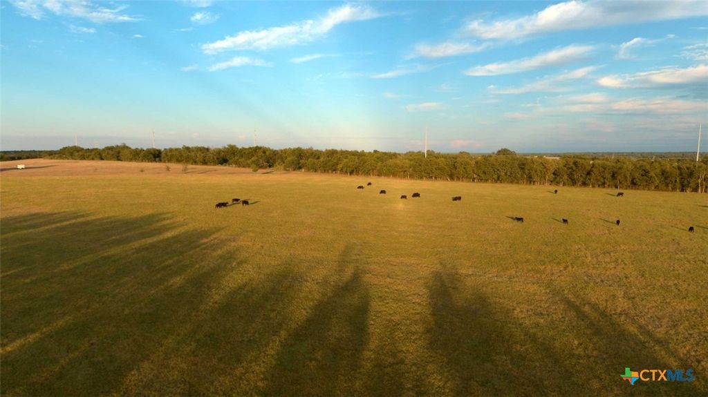 19045 FM 1123, Holland, TX 76534