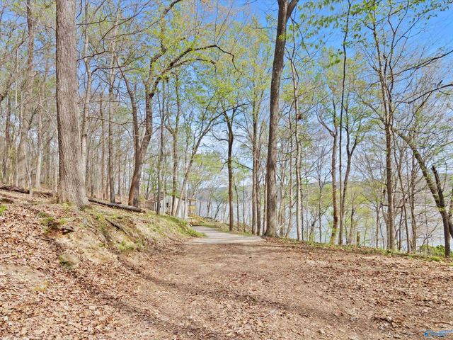 8832 Curtis Road, Athens, AL 35614