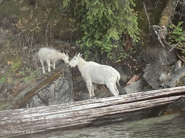 34129 N Scenic Bay Dock A, Bayview, ID 83803