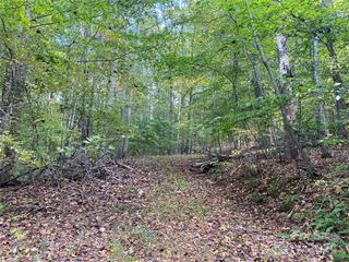 TBD Potts Road, Franklin, NC 28734