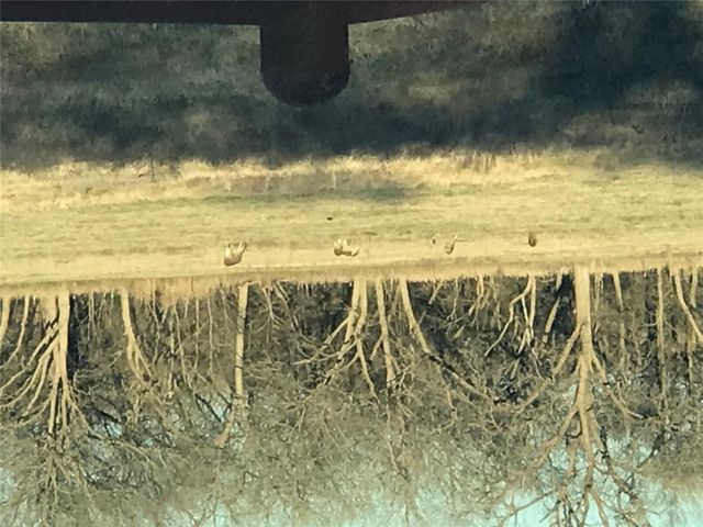 465 Oak Grove RD, Luling, TX 78648