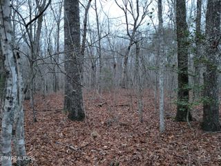 20 Cross Drive, Monterey, TN 38574