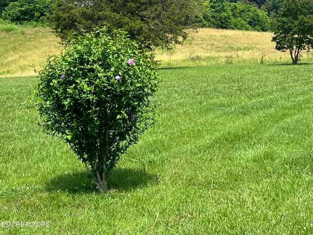 2806 Vicksburg Lane, Strawberry Plains, TN 37871