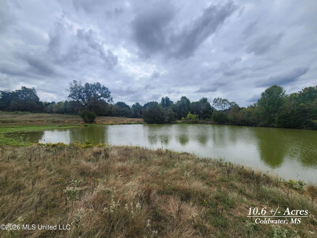 10.61 Old Memphis Oxford Road, Coldwater, MS 38618 — exterior