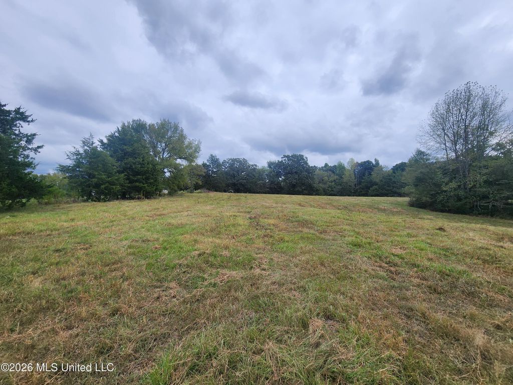 10.61 Old Memphis Oxford Road, Coldwater, MS 38618 — photo 3