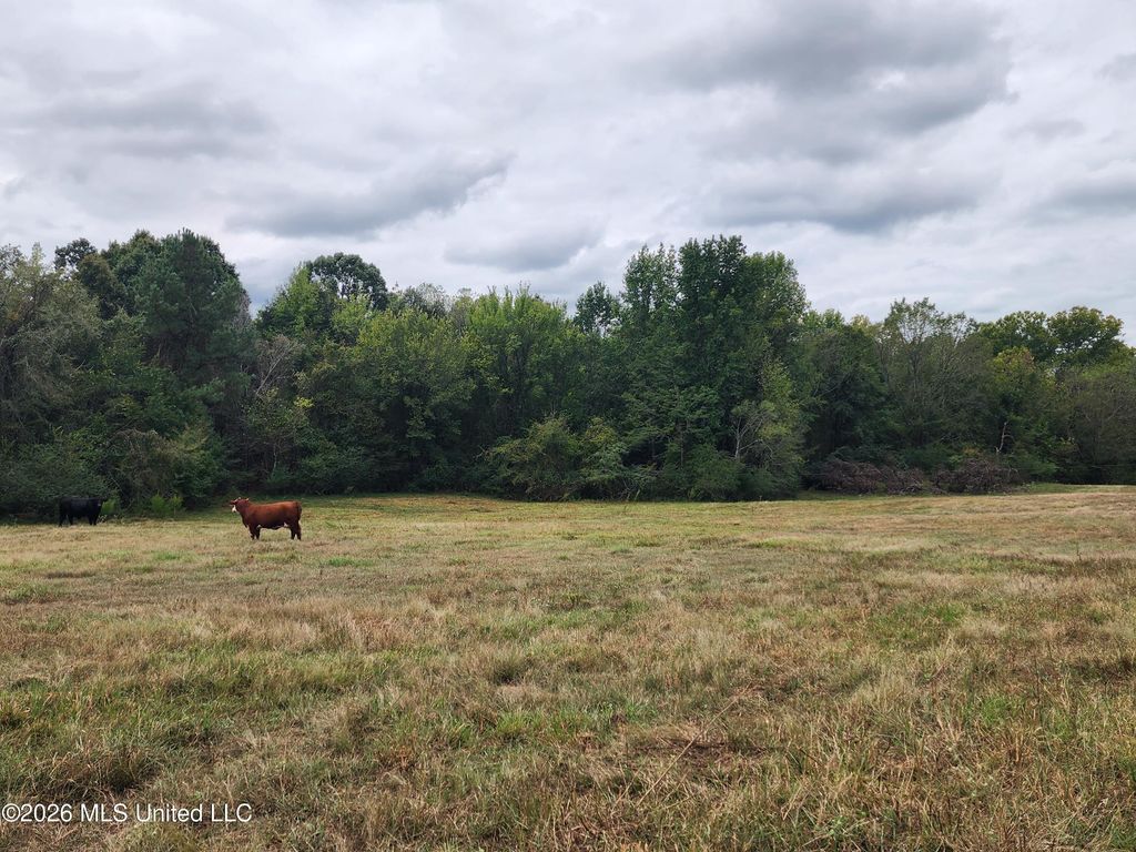 10.61 Old Memphis Oxford Road, Coldwater, MS 38618 — photo 4