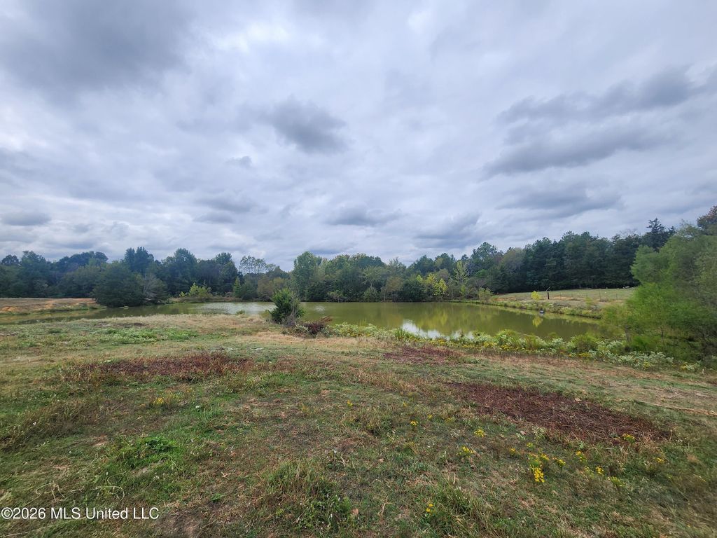 10.61 Old Memphis Oxford Road, Coldwater, MS 38618 — photo 5