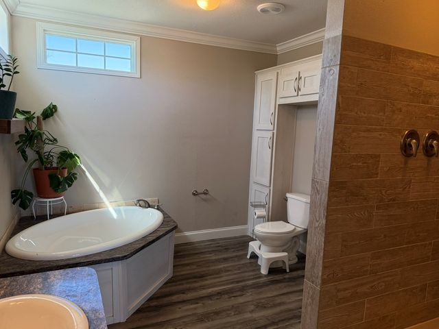 5200 RR 1120, Rio Frio, TX 78879