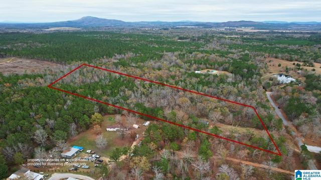 393 SILER ROAD, Piedmont, AL 36272