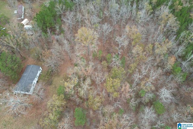 393 SILER ROAD, Piedmont, AL 36272