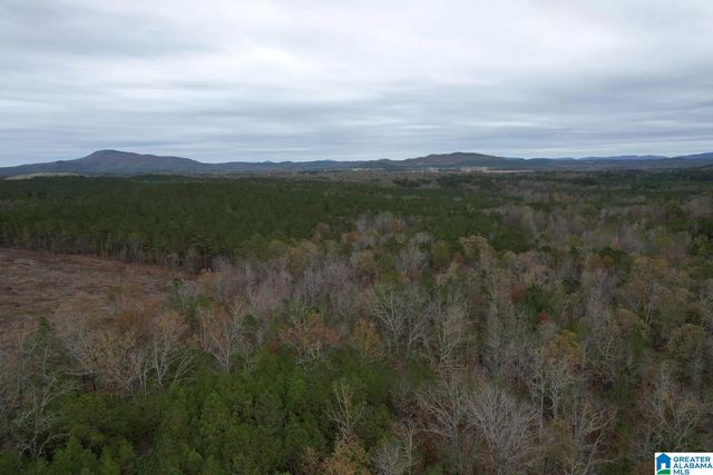 393 SILER ROAD, Piedmont, AL 36272