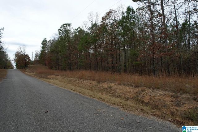 393 SILER ROAD, Piedmont, AL 36272