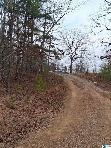 393 SILER ROAD, Piedmont, AL 36272