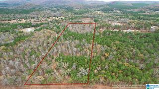 393 SILER ROAD, Piedmont, AL 36272