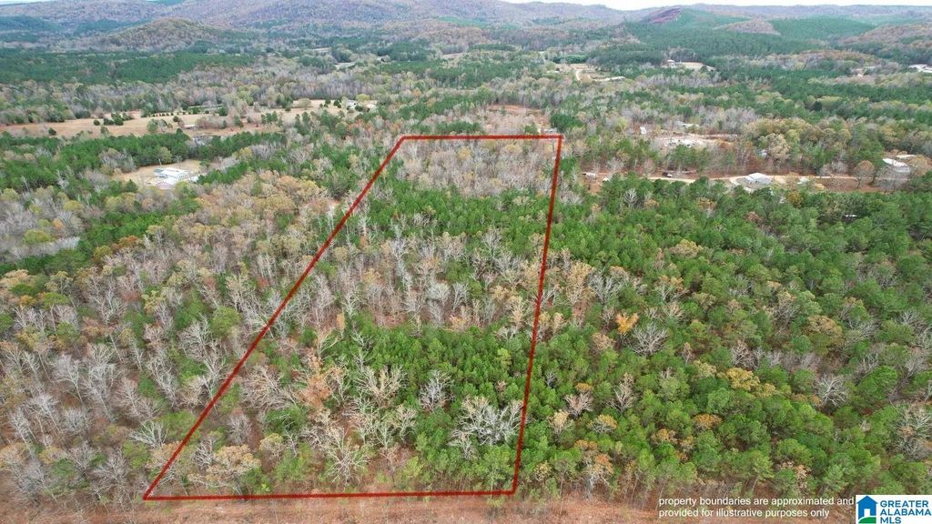 393 SILER ROAD, Piedmont, AL 36272