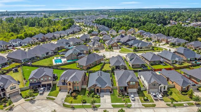 17076 Easter Lily Drive, Conroe, TX 77385
