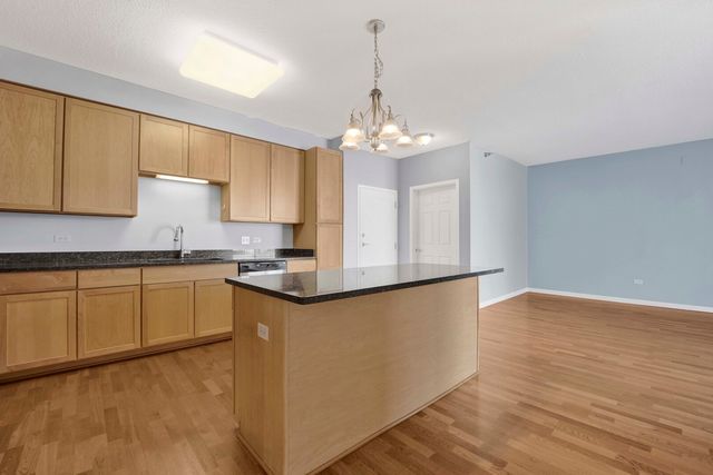 1134 W Granville Avenue 919, Chicago, IL 60660