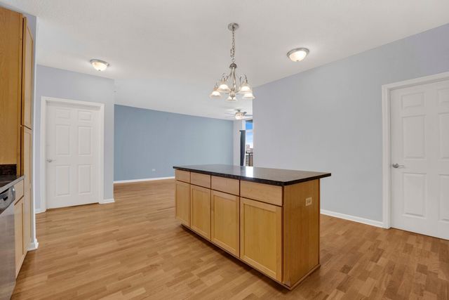 1134 W Granville Avenue 919, Chicago, IL 60660