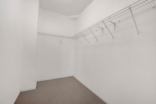 1134 W Granville Avenue 919, Chicago, IL 60660