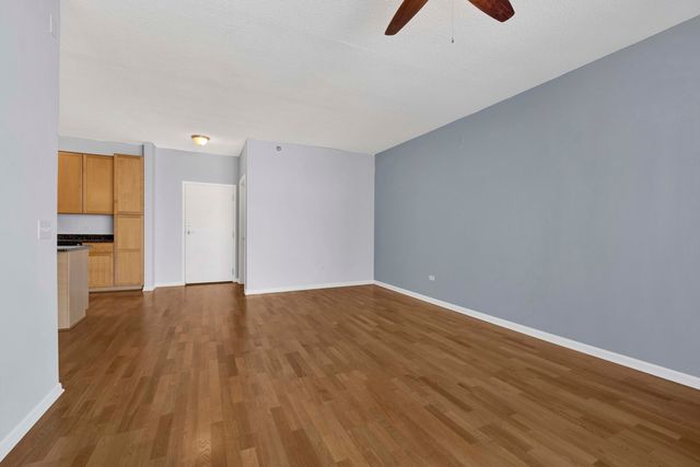 1134 W Granville Avenue 919, Chicago, IL 60660