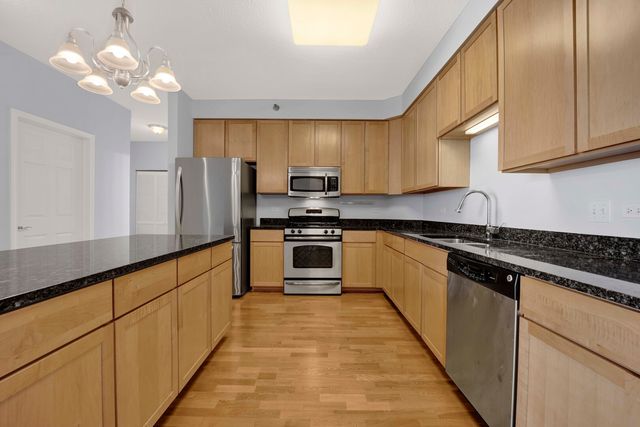 1134 W Granville Avenue 919, Chicago, IL 60660