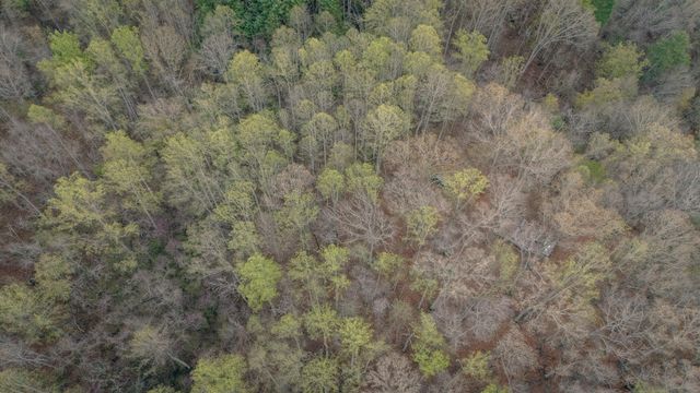 4048 Cabin Land DR, Radford, VA 24141
