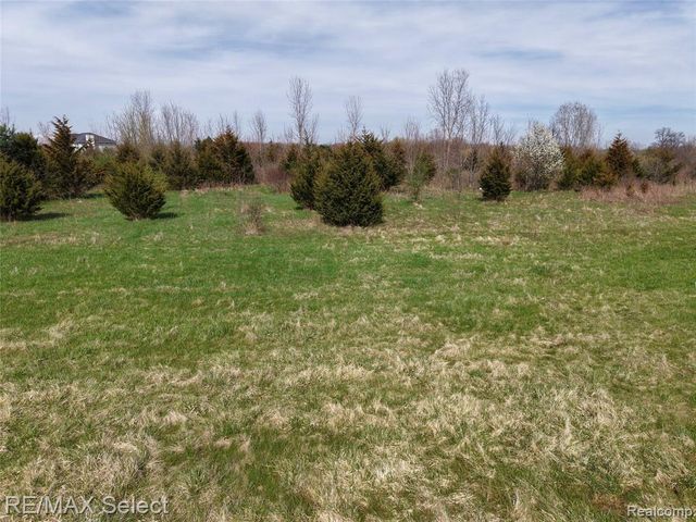 0 S Morrish Road, Flint, MI 48532