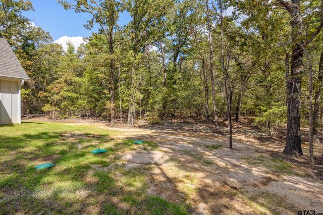 15212 Maple Leaf Ct, Tyler, TX 75707