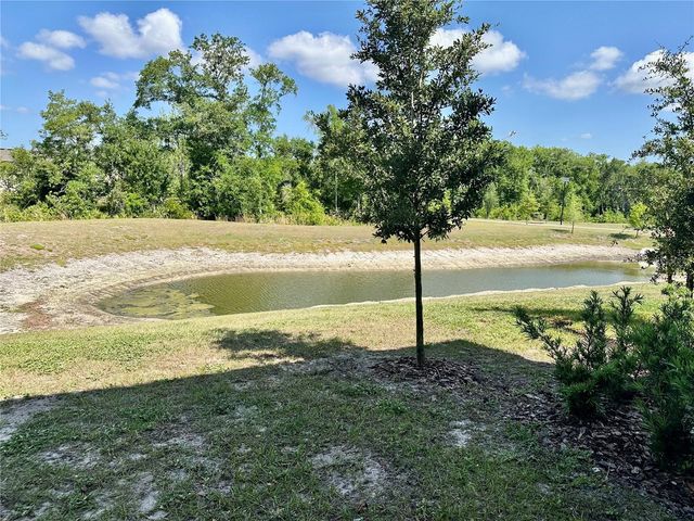 10981 WISHING CLOUD ROAD, Land O Lakes, FL 34638