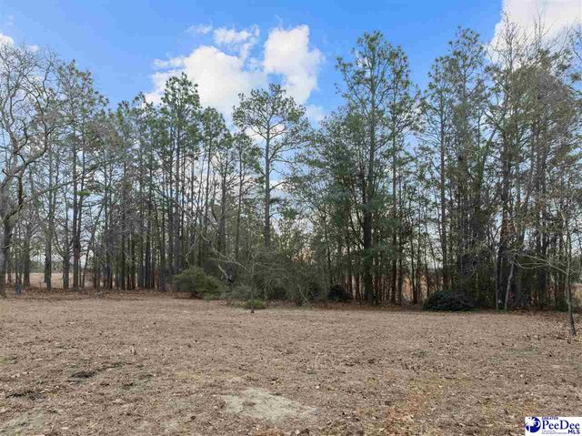 1413 E Old Camden Rd., Hartsville, SC 29550