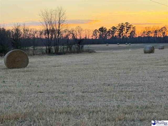 1413 E Old Camden Rd., Hartsville, SC 29550