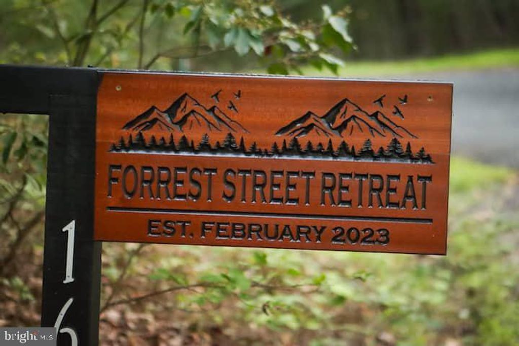 Image 40 of property listing at 162 FORREST ST, Basye, VA 22810