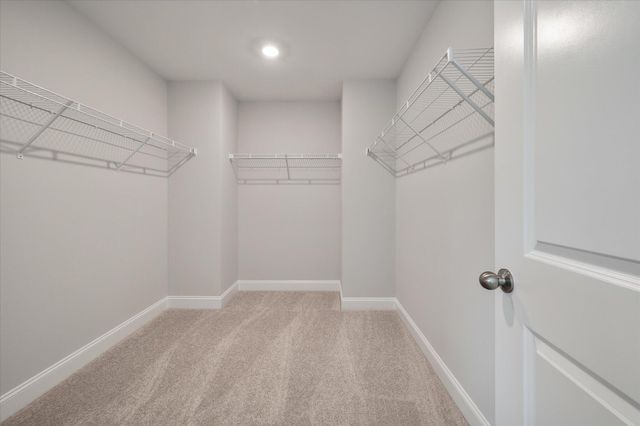 218 Palfrey Drive, Ridgeville, SC 29472