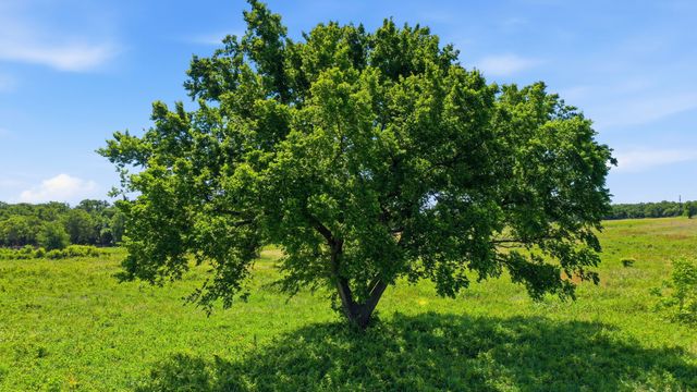 633 N Stallion Meadows Drive, Perrin, TX 76486